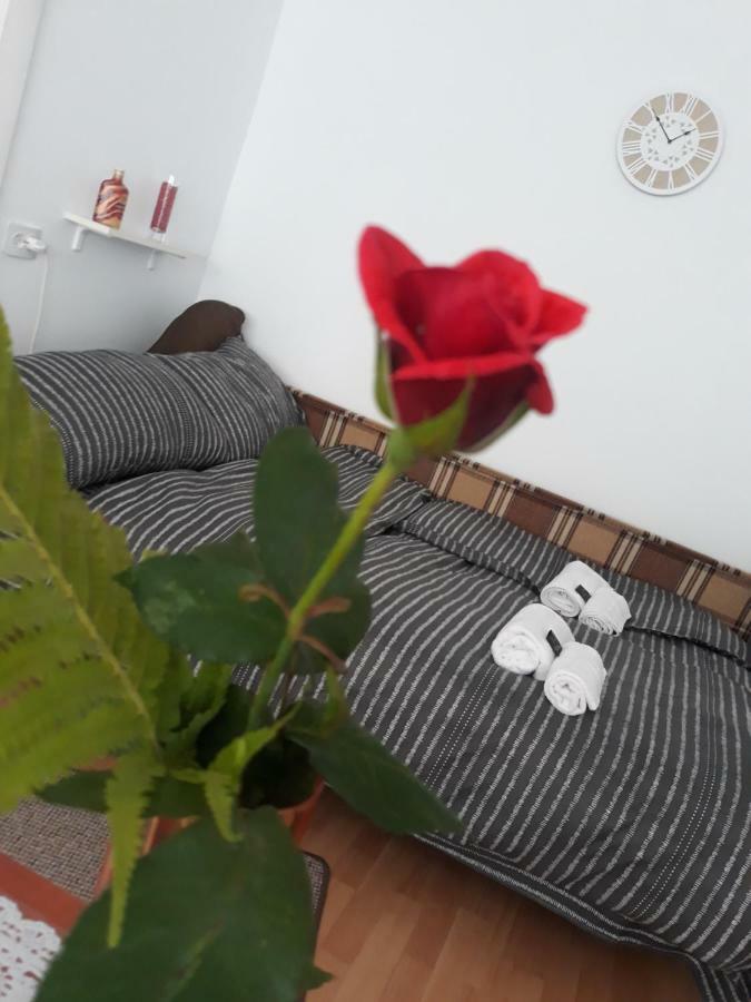 Casa Mara Villa Турда Екстериор снимка